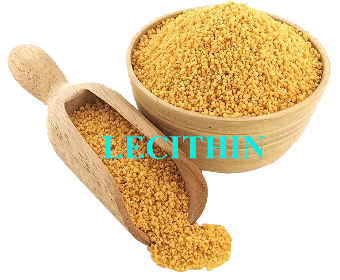 Lecithin