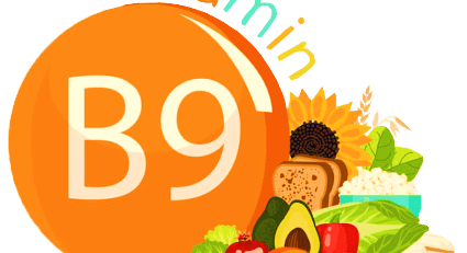 Vitamin B9