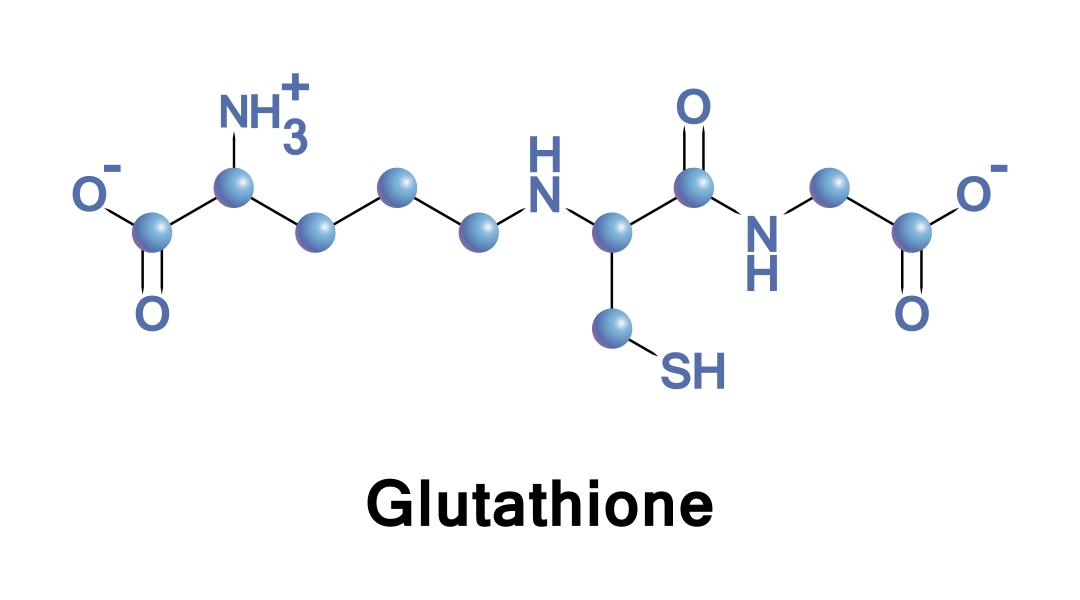 Glutathione là gì và tác dụng của nó